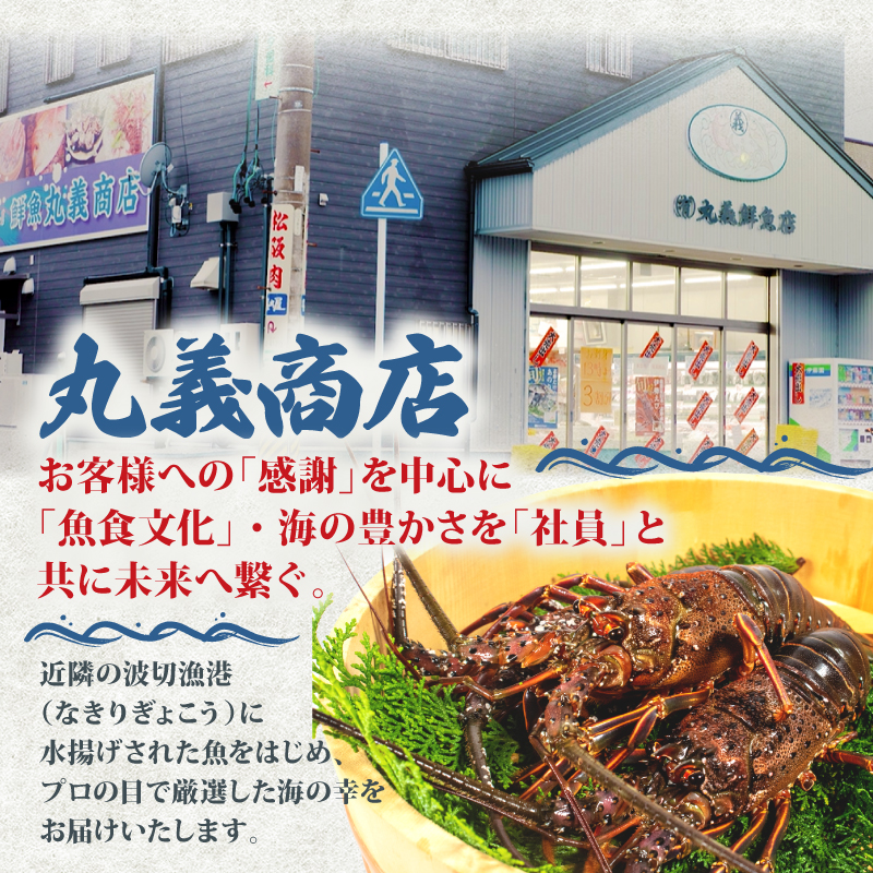 あおさ 4袋 18g セット 小分け 72g 個包装 海藻 乾物 新鮮 お手軽 簡単 味噌汁 みそ汁 お味噌汁 お吸い物 スープ 具 乾燥 朝食 朝ご飯 夕飯 晩ごはん ご飯 三重 伊勢 志摩 伊勢志摩 5000円 5千円 五千円