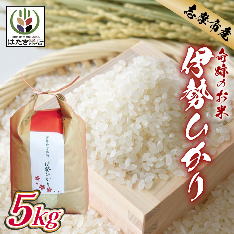 伊勢ひかり 5kg お米 白米 精米 米 おすすめ 国産 朝ごはん 朝食 晩ごはん ご飯 夕食 三重県 志摩市 伊勢 志摩 伊勢奉祝 奇跡のお米 イセヒカリ 5キロ