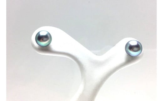 真珠 ピアス 5.0～5.5ミリ Pt900 アクセサリー パール アコヤ真珠 伊勢 志摩 伊勢志摩 英虞湾 冠婚葬祭 慶事 弔事 結婚式 入学式 卒業式 ギフト フォーマル カジュアル 誕生石 記念日 / 老舗の真珠専門店・高品質アコヤ真珠ブルーピアス5.0～5.5ミリ（Pt900）