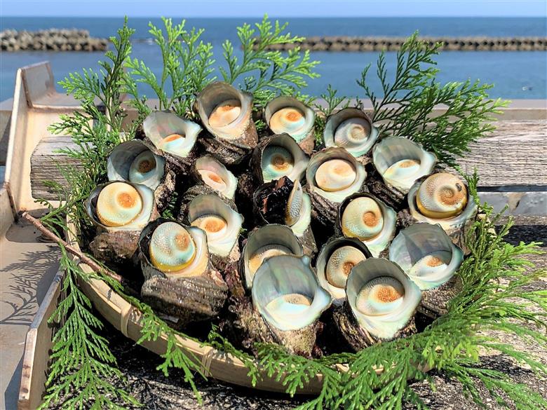 志摩産特選サザエ2ｋｇ入り