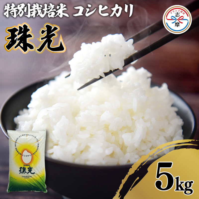 令和7年産 コシヒカリ 5kg 特別栽培米 「珠光」 ブランド米 国産 新米 米 白米 精米 コシヒカリ お米 5キロ ご飯 朝食 昼食 夕食 伊勢 志摩 三重県