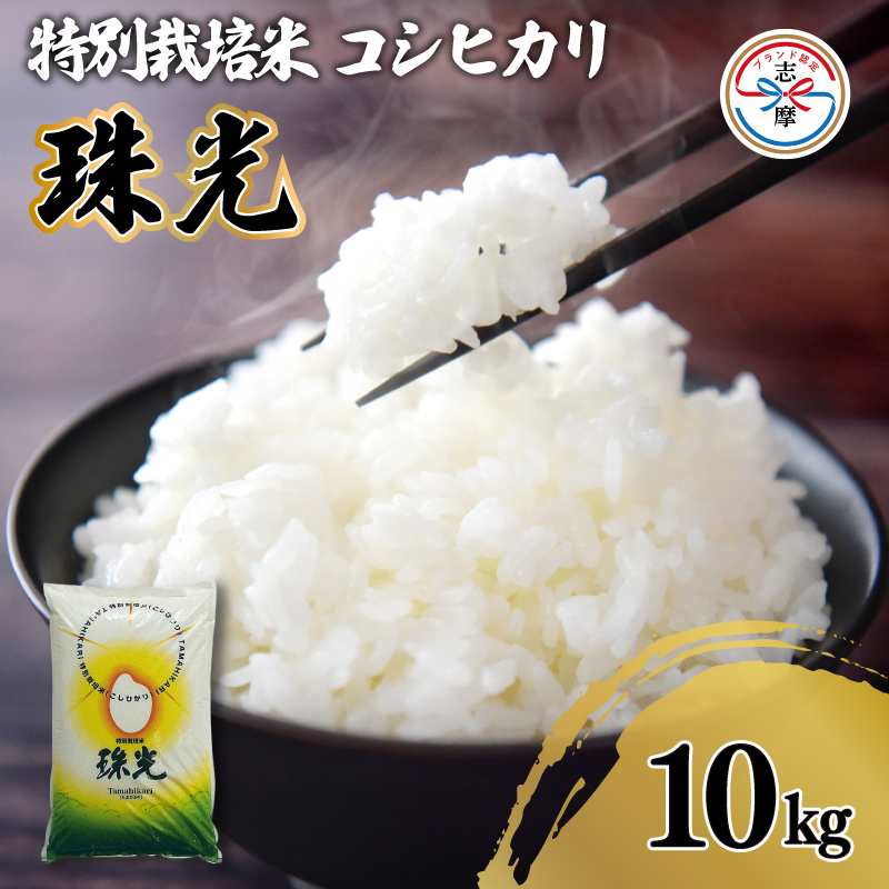 令和7年産 コシヒカリ 10kg 特別栽培米 「珠光」 ブランド米 国産 新米 米 白米 精米 コシヒカリ お米 10キロ ご飯 朝食 昼食 夕食 お取り寄せ 伊勢 志摩 三重県
