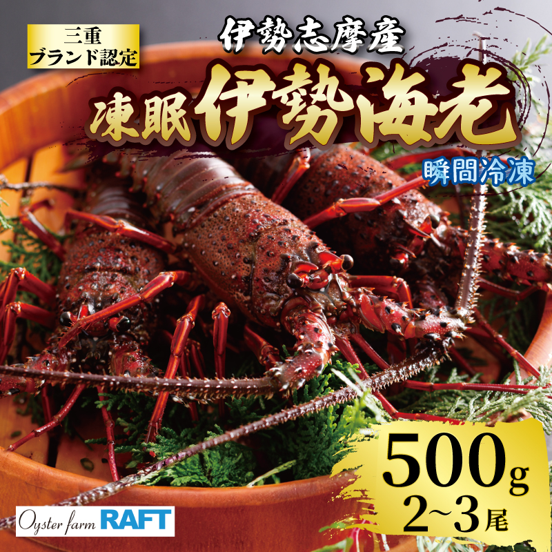 伊勢海老 500g 2尾 ～ 3尾 冷凍 / 伊勢志摩 伊勢 志摩 三重 伊勢えび 伊勢エビ 新鮮 えび エビ 三重ブランド認定 高級食材 贈答 贈答品 お歳暮 お正月 年末年始 お造り 海鮮 魚介類 旨味 鮮魚 名産 ギフト いせ しま BBQ パーティー 焼き物 お味噌汁 鍋 ボイル 三万円 3万円 30000円