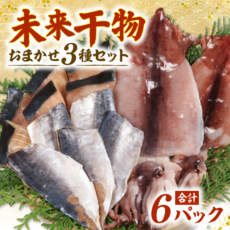 未来干物 おまかせ3種セット 合計6パック 干物 ひもの 冷凍 おまかせ お楽しみ 朝食 夕食 お惣菜 おかず 骨なし 簡単調理 三重県 志摩市 伊勢 志摩 10000円 1万円 一万円
