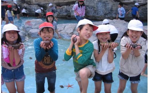 【010-83】磯体験施設海ほおずき　体験利用引換券*