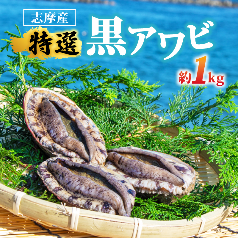 志摩産 黒アワビ 1kg / 天然 アワビ 鮑 あわび 海鮮 魚介 新鮮 国産 冷蔵 旬 貝 活 刺身 刺し身 お刺身 期間限定 産地直送 バーベキュー BBQ 伊勢 志摩 三重県