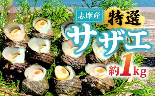 志摩産特選サザエ1kg入り / 三重 志摩 伊勢志摩 新鮮 海鮮 海産物 魚介 魚貝 サザエ 貝 刺身 お造り つぼ焼き グリル BBQ バーベキュー キャンプ 夏 〔010-129〕