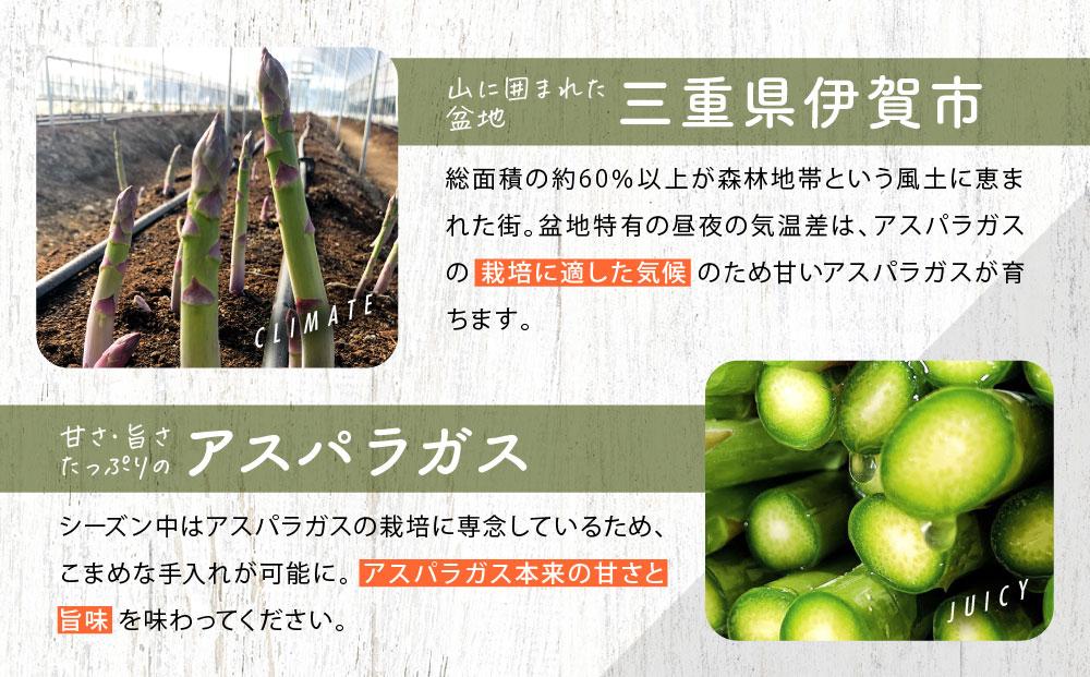 【先行受付】朝採りアスパラガス（約1kg）／2026年4月上旬～5月中旬お届け