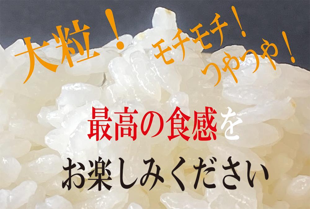 伊賀米コシヒカリ特別栽培米「真米」白米5kg