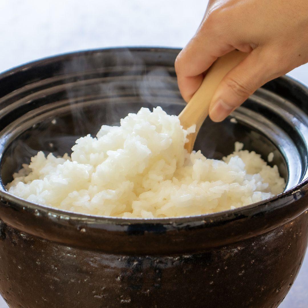 伊賀焼 炊飯土鍋 かまどさん 四合炊き（公式限定）