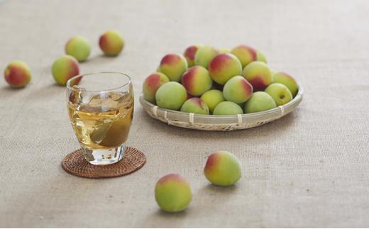 チョーヤ梅酒 さらりとした梅酒スパークリング 250ml缶×24本