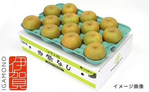 白鳳梨（豊水）3L  14玉 ※お届けは9月上旬から9月中旬頃の予定です