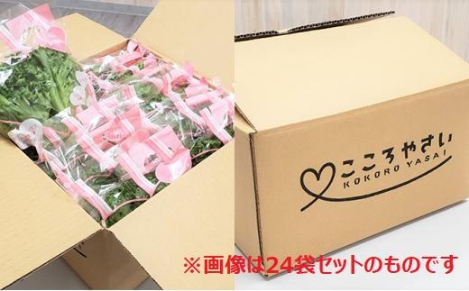 アノレタス（リーフレタス）新鮮シャキシャキ 栽培期間中無農薬低カリウムレタス 12袋×6ヶ月連続お届けセット