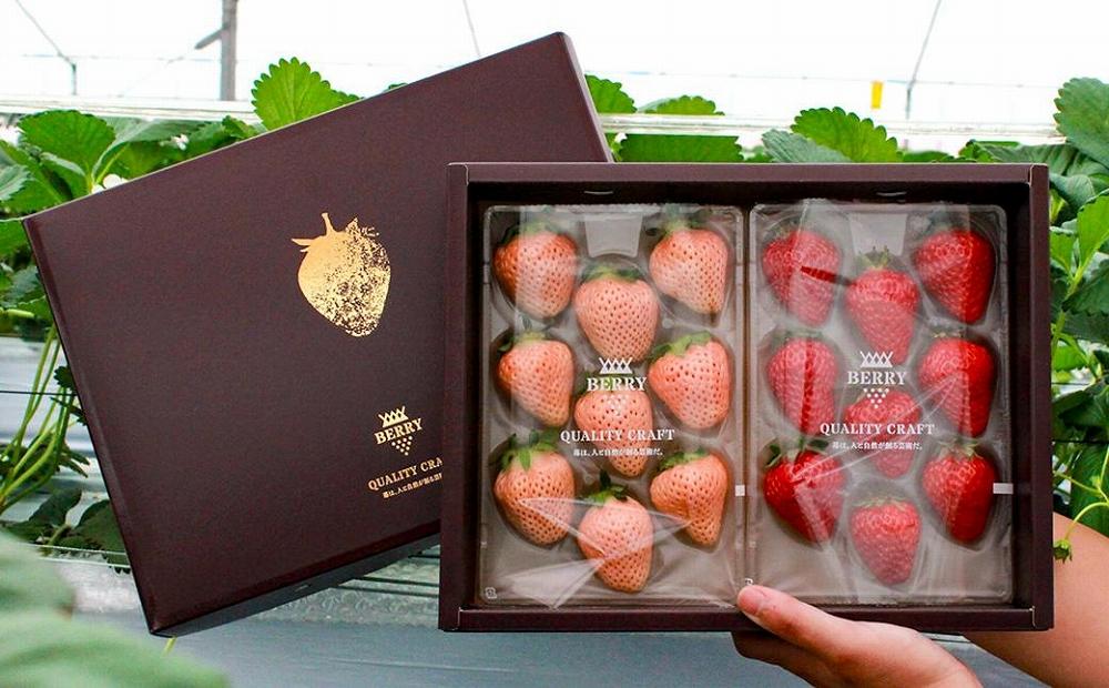 【完熟クラフト苺BERRY】有名シェフ御用達【紅白いちご】樹上完熟紅ほっぺ・淡雪 約500g（出荷2025年12月上旬～2026年5月下旬）