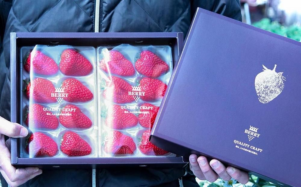 【完熟クラフト苺BERRY】有名シェフ御用達【樹上完熟紅ほっぺ】約500g（出荷2025年12月上旬～2026年5月下旬）