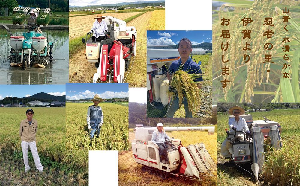 伊賀米コシヒカリ特別栽培米「真米」白米5kg