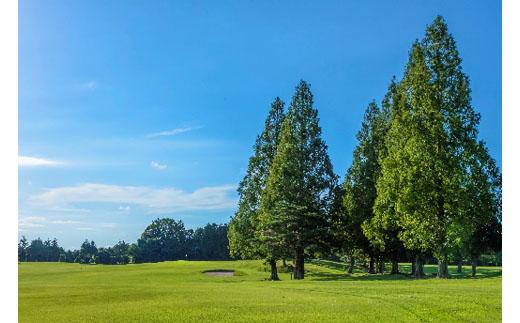 【土日祝日限定】伊賀ゴルフコース ゴルフ1ラウンドプレー券（昼食付き）