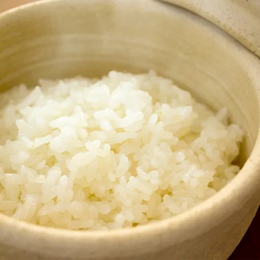 黄瀬戸／大：伊賀焼 おひつ 陶珍 (ごはん約2合分）