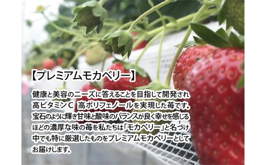 伊賀忍者いちご プレミアムモカベリー 2パックセット（約270g×2）
