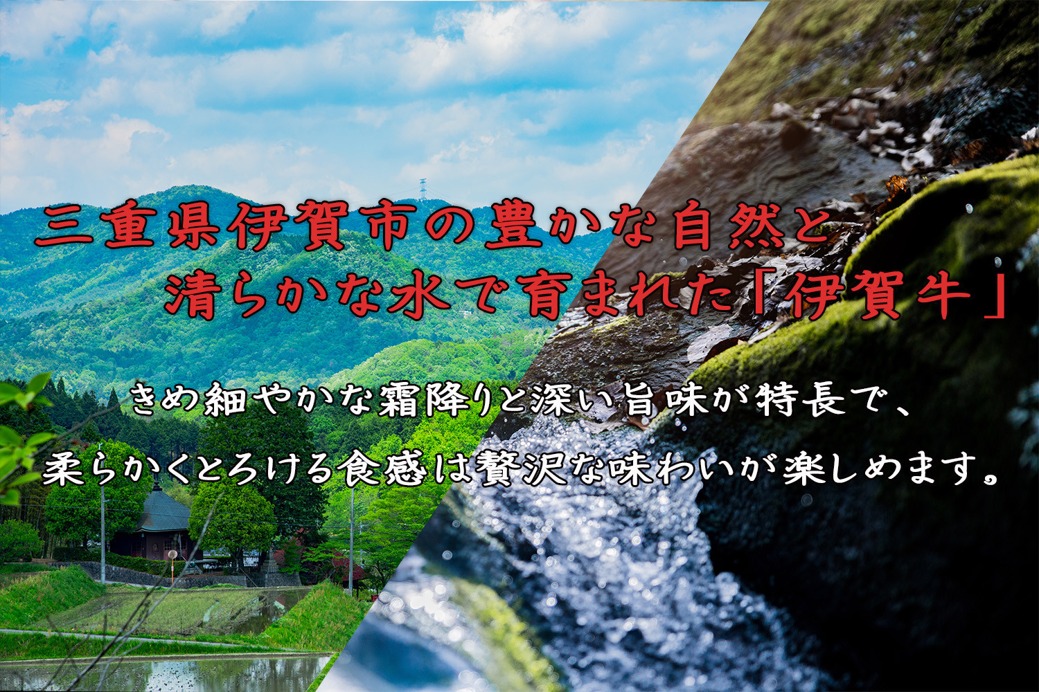 伊賀牛 牛すじ約1.2g(約300gx4パック)