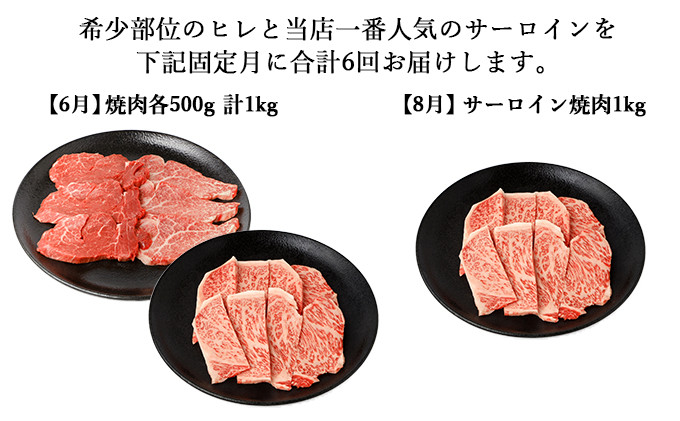 【年6回偶数月発送】伊賀牛 A5ヒレ・サーロイン 定期便A 総合計約6.1kg