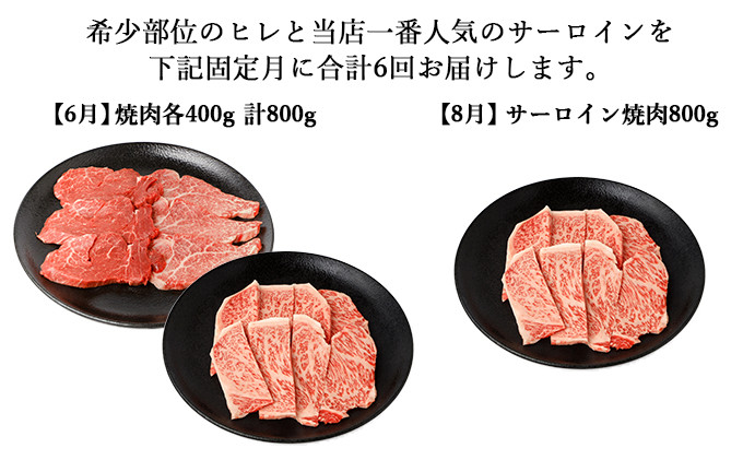 【年6回偶数月発送】伊賀牛 A5ヒレ・サーロイン 定期便B 総合計約4.7kg