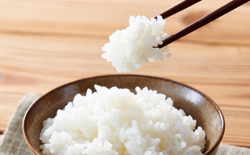 令和7年産 伊賀米コシヒカリ 10kg（6ヶ月連続）