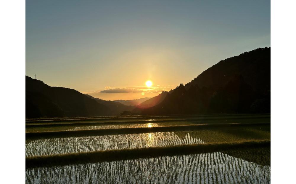 純米大吟醸　若戎　－磨き35－