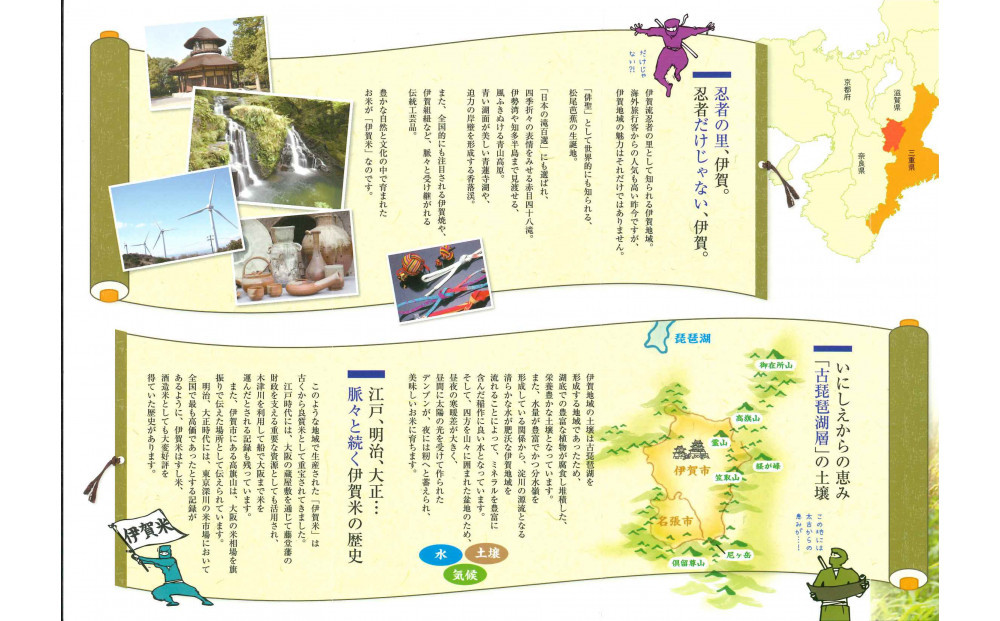 令和7年産【数量限定】三重県伊賀米 極 2kg 精米 進さんのコシヒカリ