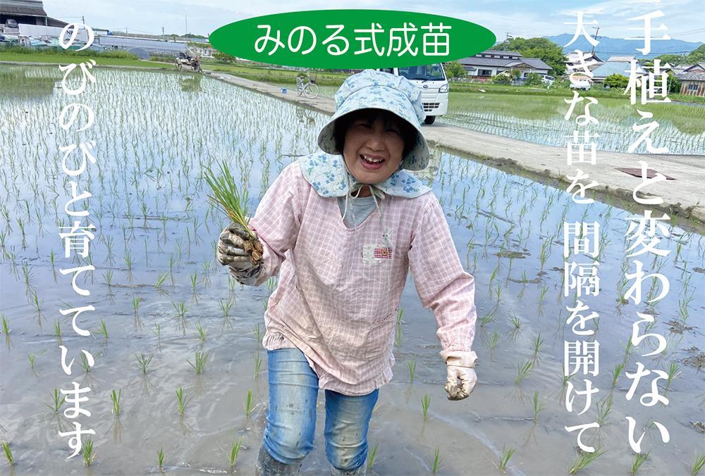 伊賀米コシヒカリ特別栽培米「真米」白米5kg