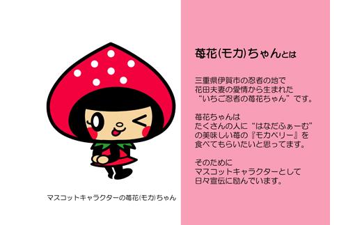 伊賀忍者いちご プレミアムモカベリー 2パックセット（約270g×2）