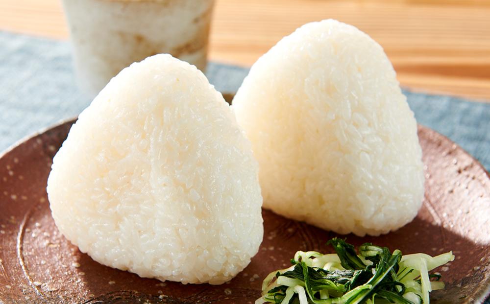 令和7年産 伊賀米コシヒカリ 10kg（6ヶ月連続）