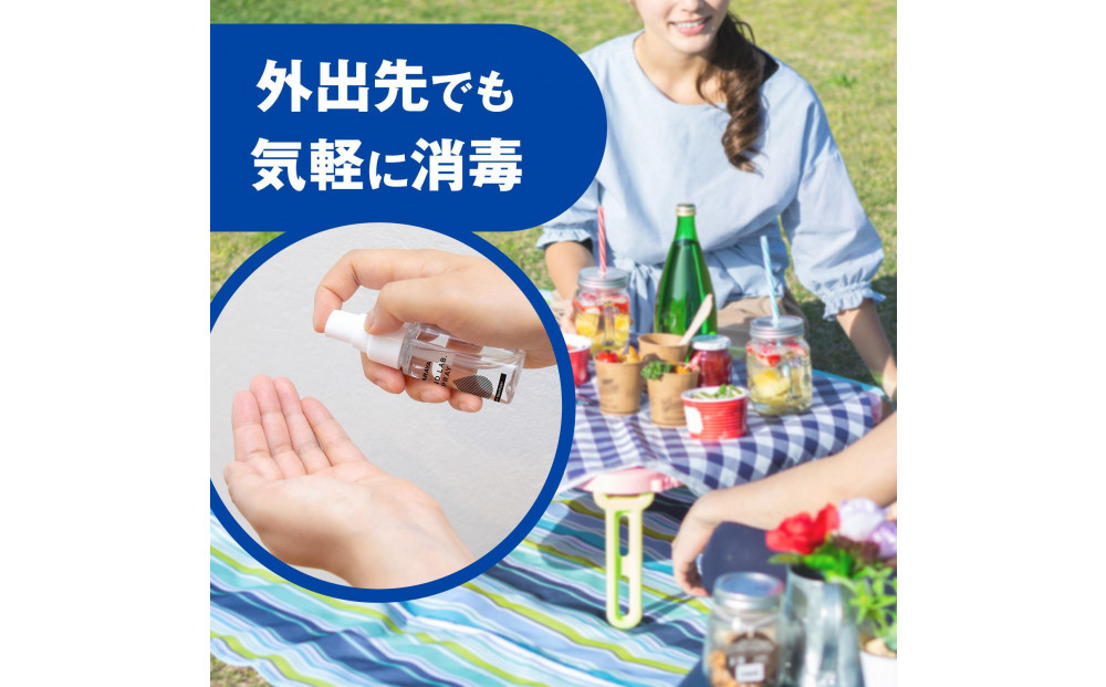 ハンドラボ手指消毒スプレーVH３０ｍｌ×６