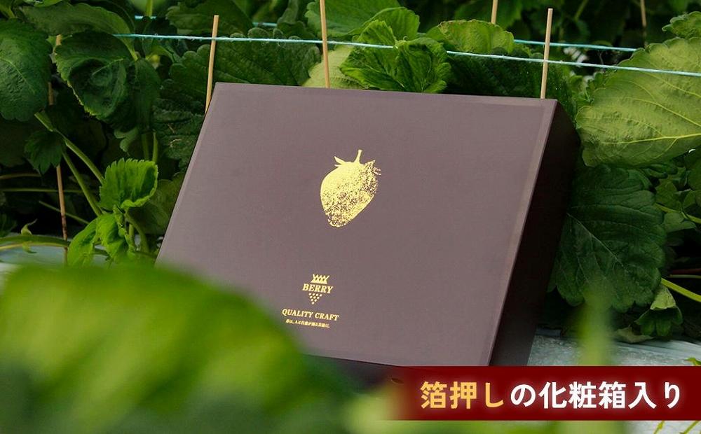 【完熟クラフト苺BERRY】有名シェフ御用達【紅白いちご】樹上完熟よつぼし・淡雪 約500g（出荷2025年12月上旬～2026年5月下旬）