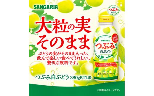 サンガリア つぶみ白ぶどう 380g×24本