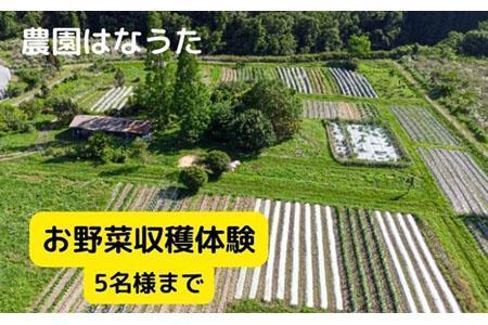 農園はなうた お野菜収穫体験券 5名様まで