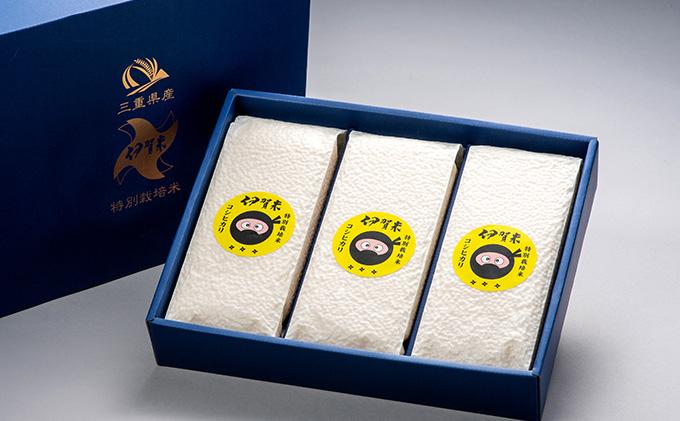 特別栽培米 伊賀米コシヒカリ真空パック セット 6合（900g）×3