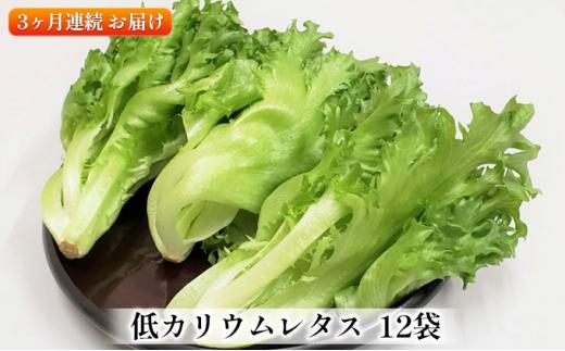 アノレタス（リーフレタス）新鮮シャキシャキ 栽培期間中無農薬低カリウムレタス 12袋×3ヶ月連続お届けセット