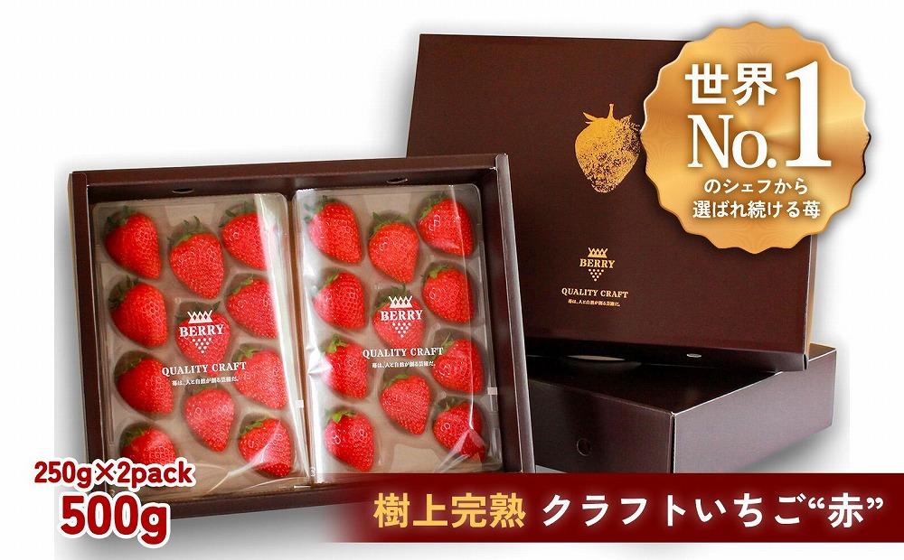 【完熟クラフト苺BERRY】有名シェフ御用達【樹上完熟赤いちご】約500g（出荷2025年12月上旬～2026年5月下旬）