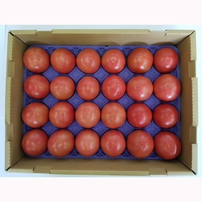 きそさきのとまと(4kg)【配送不可地域：離島】