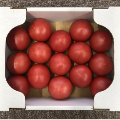 木曽岬産トマト 1.5～2kg
