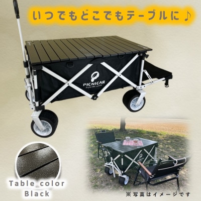 ピクニCAR WHITE×BLACK 1台　天板(黒)フルセット