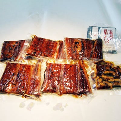 「2024年3月発送」木曽岬産「木曽三川うなぎ」うなぎ蒲焼5枚(各100g)+おまけ(60g)付【配送不可地域：離島】