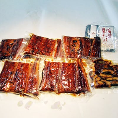 「2024年4月発送」木曽岬産「木曽三川うなぎ」うなぎ蒲焼5枚(各100g)+おまけ(60g)付【配送不可地域：離島】