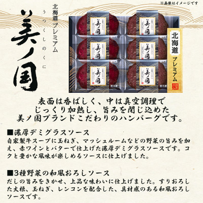 【ふるさと納税】【ギフトに】北海道プレミアム 美ノ国 ハンバーグステーキ2種セット|冷凍小分使い切り【配送不可地域：離島】