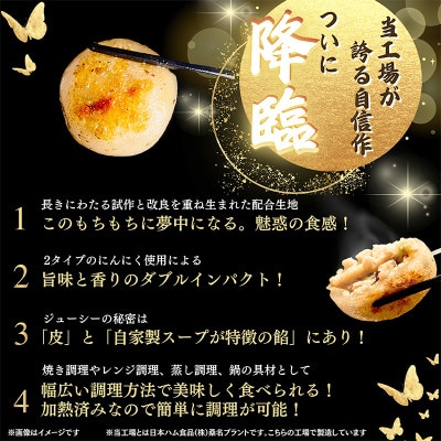 【2ヵ月毎定期便】もちもち皮のにんにく丸餃子(20個)×4袋計2.24kg|簡単おかず冷凍全3回【配送不可地域：離島】