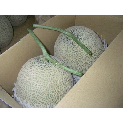 木曽岬産マスクメロン　2玉(1玉1.5kg以上)　令和8年7月9日から発送
