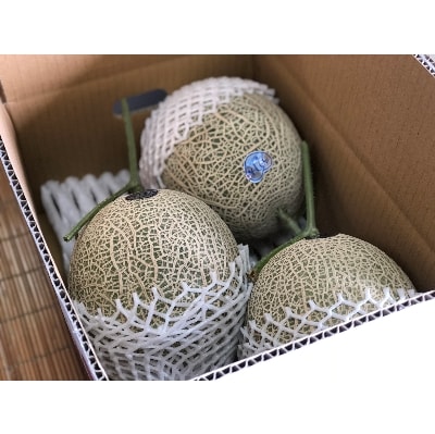 木曽岬産メロン「ラブコール」3～4玉セット　令和7年6月25日より発送