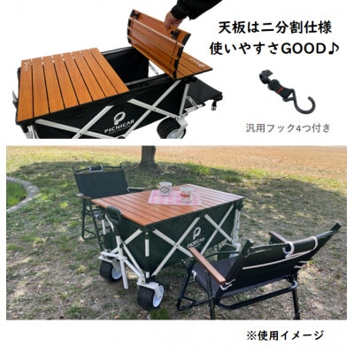 アウトドアワゴン ピクニCAR　WHITE×BLACK(黒天板)