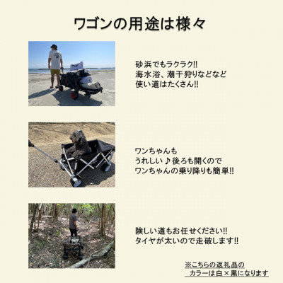 アウトドアワゴン ピクニCAR WHITE×BLACK